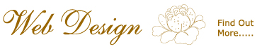 Web Design Services
